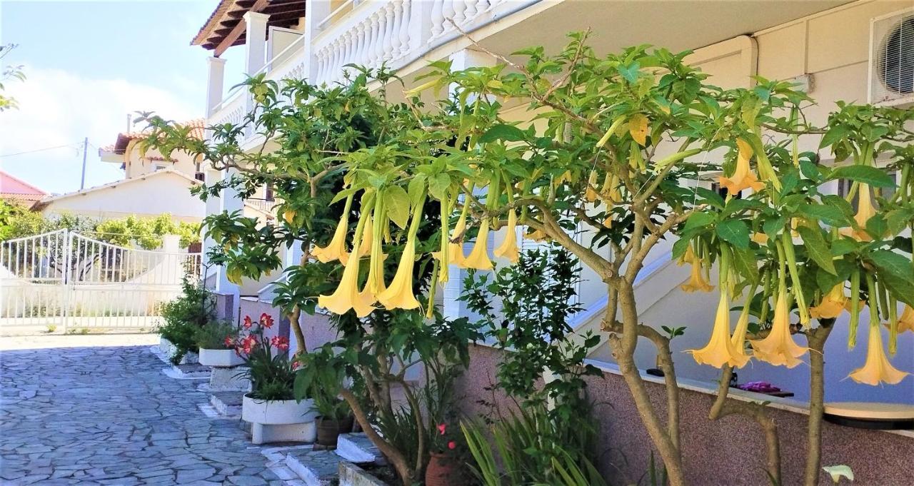 Eleni Apartments Sant George Beach Агиос Георгиос Екстериор снимка